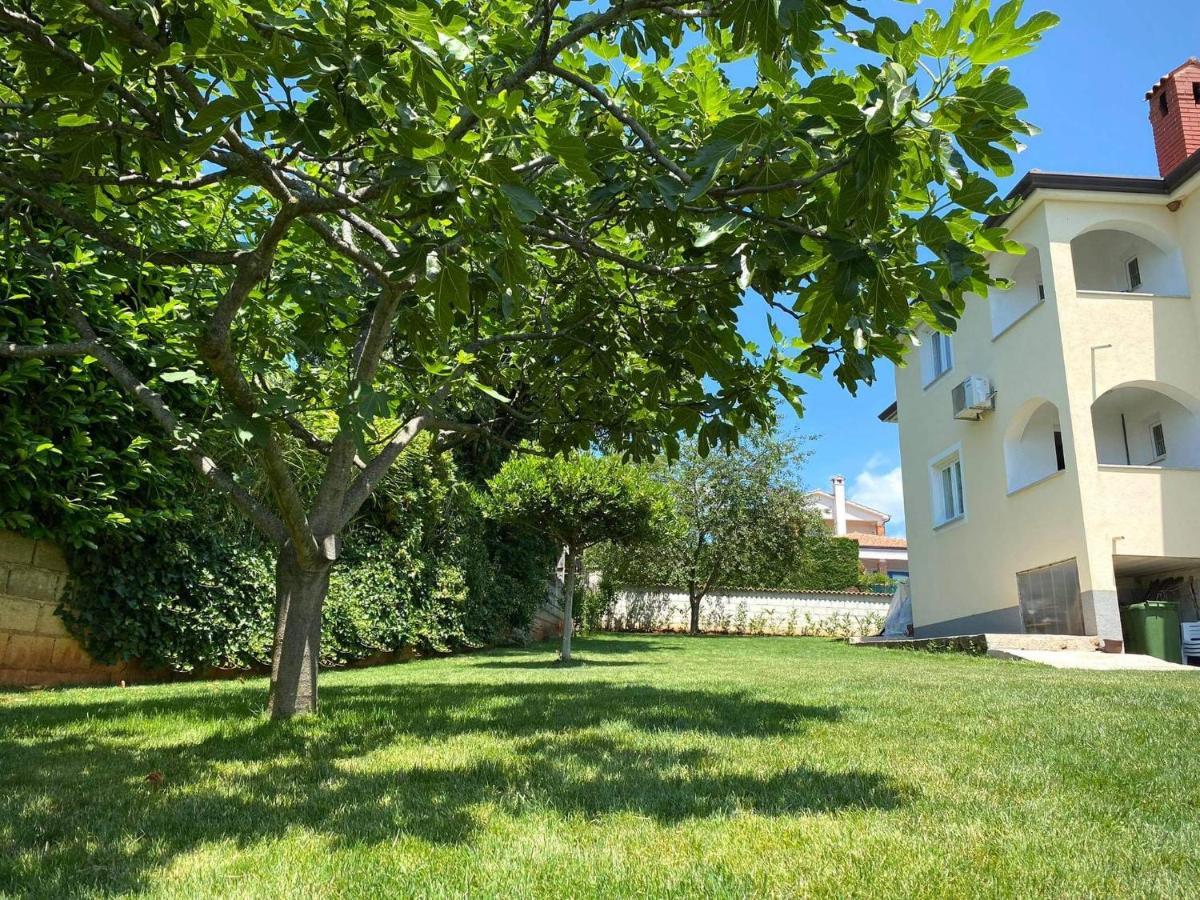 Apartman Luna Sveti Lovreč Pazenatički Buitenkant foto
